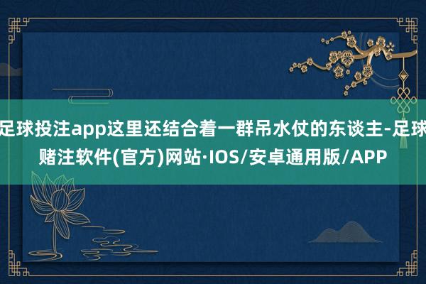 足球投注app这里还结合着一群吊水仗的东谈主-足球赌注软件(官方)网站·IOS/安卓通用版/APP