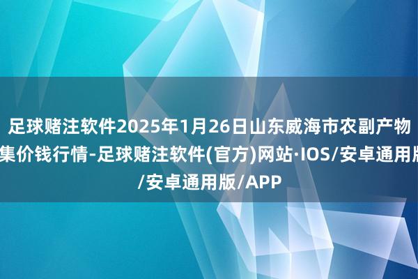 足球赌注软件2025年1月26日山东威海市农副产物批发市集价钱行情-足球赌注软件(官方)网站·IOS/安卓通用版/APP