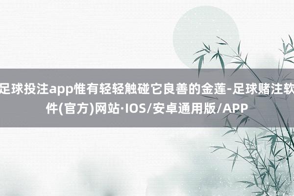 足球投注app惟有轻轻触碰它良善的金莲-足球赌注软件(官方)网站·IOS/安卓通用版/APP