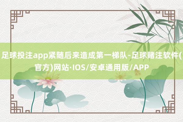 足球投注app紧随后来造成第一梯队-足球赌注软件(官方)网站·IOS/安卓通用版/APP