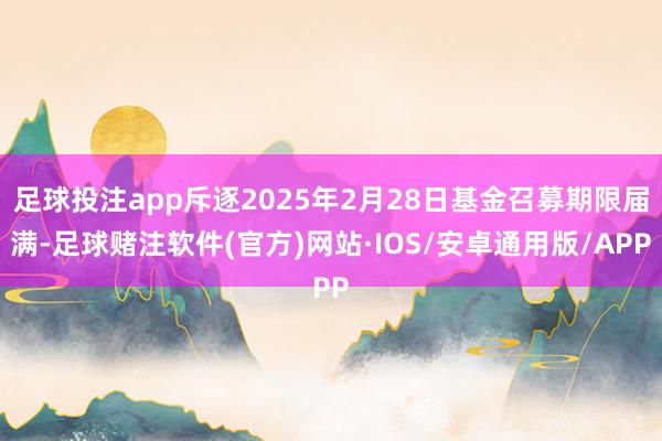足球投注app斥逐2025年2月28日基金召募期限届满-足球赌注软件(官方)网站·IOS/安卓通用版/APP