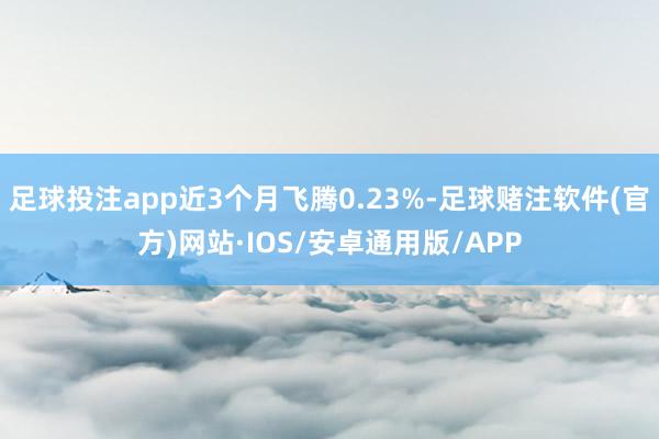 足球投注app近3个月飞腾0.23%-足球赌注软件(官方)网站·IOS/安卓通用版/APP