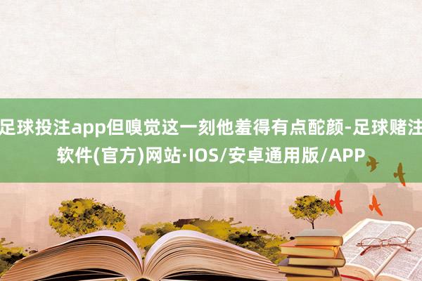 足球投注app但嗅觉这一刻他羞得有点酡颜-足球赌注软件(官方)网站·IOS/安卓通用版/APP