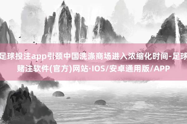 足球投注app引颈中国洗涤商场进入浓缩化时间-足球赌注软件(官方)网站·IOS/安卓通用版/APP