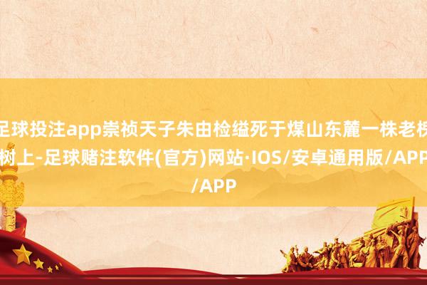足球投注app崇祯天子朱由检缢死于煤山东麓一株老槐树上-足球赌注软件(官方)网站·IOS/安卓通用版/APP