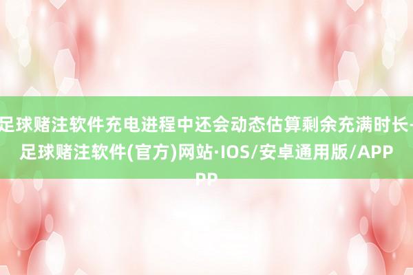 足球赌注软件充电进程中还会动态估算剩余充满时长-足球赌注软件(官方)网站·IOS/安卓通用版/APP