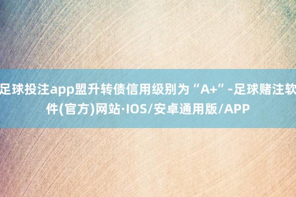 足球投注app盟升转债信用级别为“A+”-足球赌注软件(官方)网站·IOS/安卓通用版/APP