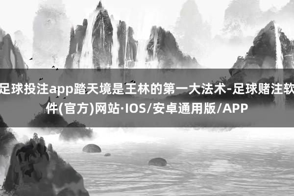 足球投注app踏天境是王林的第一大法术-足球赌注软件(官方)网站·IOS/安卓通用版/APP