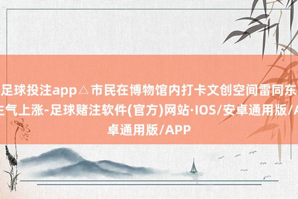 足球投注app△市民在博物馆内打卡文创空间雷同东谈主气上涨-足球赌注软件(官方)网站·IOS/安卓通用版/APP