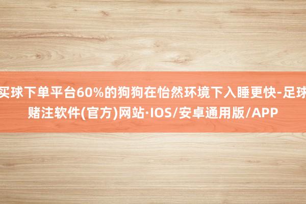 买球下单平台60%的狗狗在怡然环境下入睡更快-足球赌注软件(官方)网站·IOS/安卓通用版/APP
