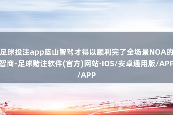 足球投注app蓝山智驾才得以顺利完了全场景NOA的智商-足球赌注软件(官方)网站·IOS/安卓通用版/APP