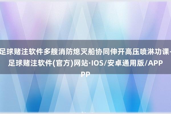 足球赌注软件多艘消防熄灭船协同伸开高压喷淋功课-足球赌注软件(官方)网站·IOS/安卓通用版/APP