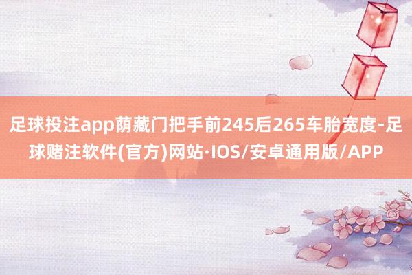 足球投注app荫藏门把手前245后265车胎宽度-足球赌注软件(官方)网站·IOS/安卓通用版/APP