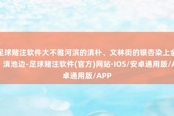 足球赌注软件大不雅河滨的滇朴、文林街的银杏染上金黄；滇池边-足球赌注软件(官方)网站·IOS/安卓通用版/APP