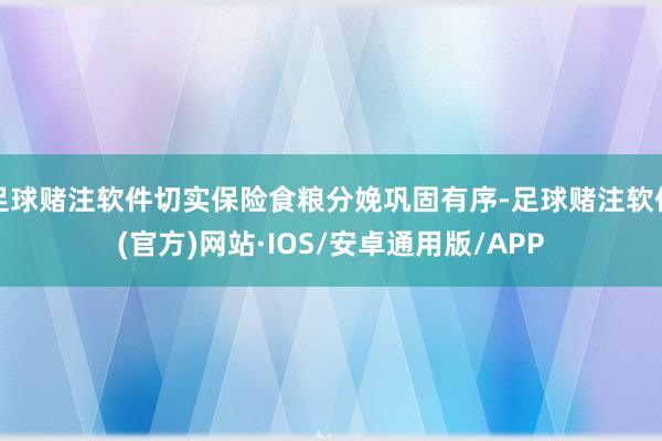 足球赌注软件切实保险食粮分娩巩固有序-足球赌注软件(官方)网站·IOS/安卓通用版/APP