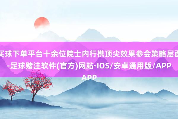买球下单平台十余位院士内行携顶尖效果参会策略层面-足球赌注软件(官方)网站·IOS/安卓通用版/APP
