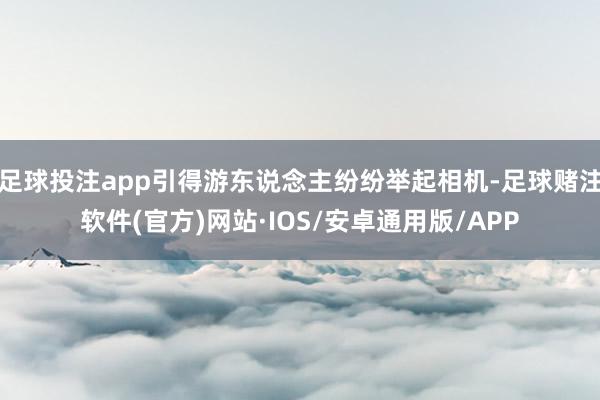 足球投注app引得游东说念主纷纷举起相机-足球赌注软件(官方)网站·IOS/安卓通用版/APP