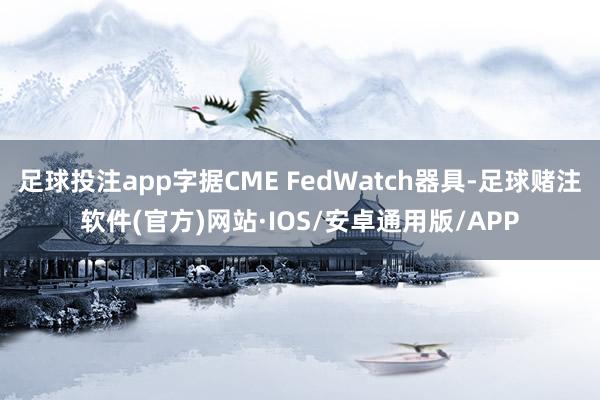 足球投注app字据CME FedWatch器具-足球赌注软件(官方)网站·IOS/安卓通用版/APP