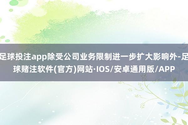 足球投注app除受公司业务限制进一步扩大影响外-足球赌注软件(官方)网站·IOS/安卓通用版/APP