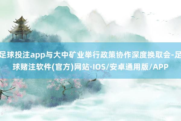 足球投注app与大中矿业举行政策协作深度换取会-足球赌注软件(官方)网站·IOS/安卓通用版/APP
