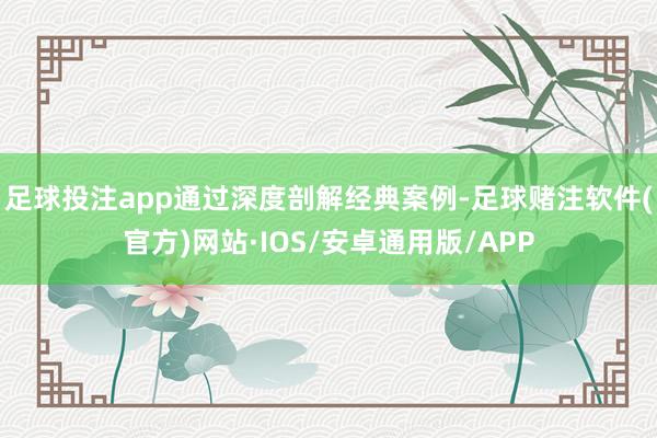 足球投注app通过深度剖解经典案例-足球赌注软件(官方)网站·IOS/安卓通用版/APP