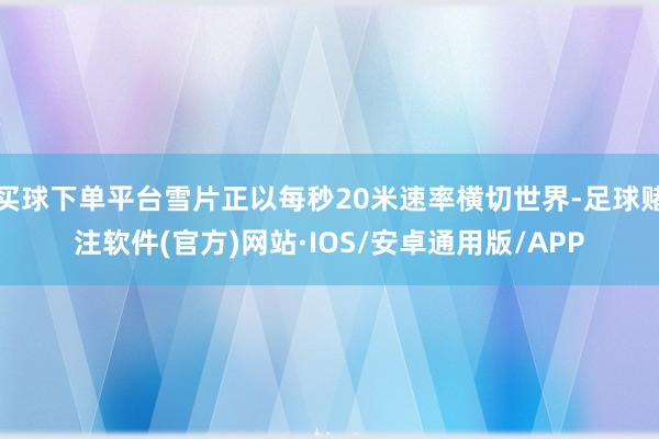 买球下单平台雪片正以每秒20米速率横切世界-足球赌注软件(官方)网站·IOS/安卓通用版/APP