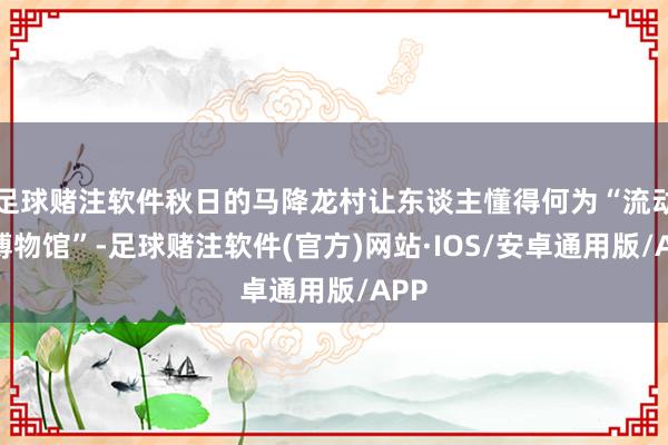 足球赌注软件秋日的马降龙村让东谈主懂得何为“流动的博物馆”-足球赌注软件(官方)网站·IOS/安卓通用版/APP