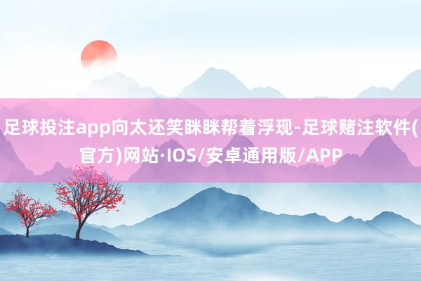 足球投注app向太还笑眯眯帮着浮现-足球赌注软件(官方)网站·IOS/安卓通用版/APP