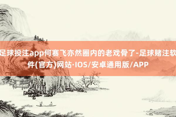 足球投注app何赛飞亦然圈内的老戏骨了-足球赌注软件(官方)网站·IOS/安卓通用版/APP