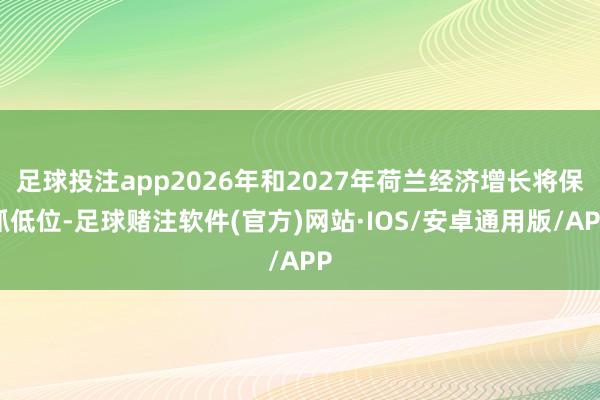 足球投注app2026年和2027年荷兰经济增长将保抓低位-足球赌注软件(官方)网站·IOS/安卓通用版/APP