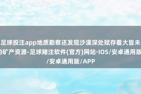 足球投注app地质勘察还发现沙漠深处赋存着大皆未开发的矿产资源-足球赌注软件(官方)网站·IOS/安卓通用版/APP