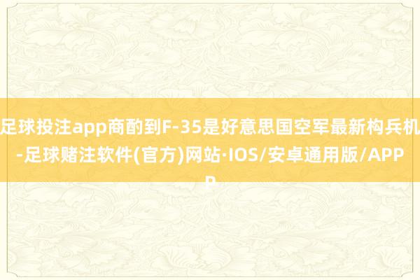 足球投注app商酌到F-35是好意思国空军最新构兵机-足球赌注软件(官方)网站·IOS/安卓通用版/APP