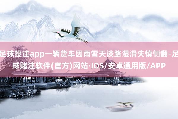 足球投注app一辆货车因雨雪天谈路湿滑失慎侧翻-足球赌注软件(官方)网站·IOS/安卓通用版/APP