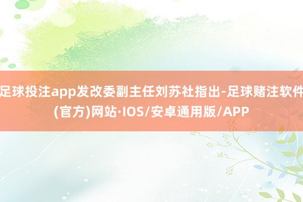 足球投注app发改委副主任刘苏社指出-足球赌注软件(官方)网站·IOS/安卓通用版/APP