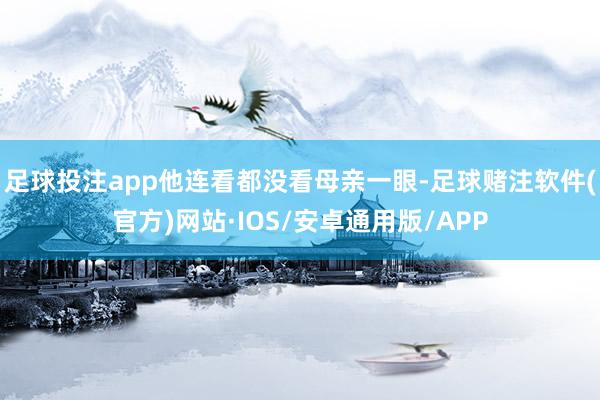 足球投注app他连看都没看母亲一眼-足球赌注软件(官方)网站·IOS/安卓通用版/APP