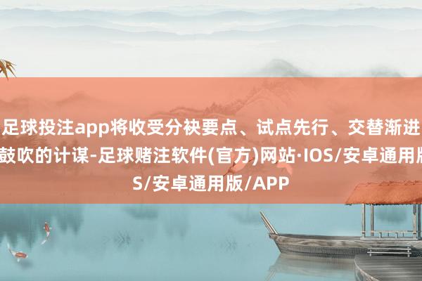 足球投注app将收受分袂要点、试点先行、交替渐进、分步鼓吹的计谋-足球赌注软件(官方)网站·IOS/安卓通用版/APP