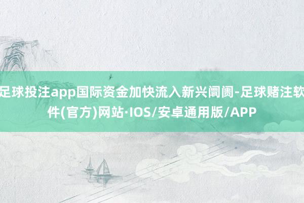足球投注app国际资金加快流入新兴阛阓-足球赌注软件(官方)网站·IOS/安卓通用版/APP