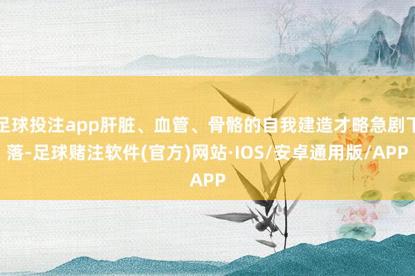足球投注app肝脏、血管、骨骼的自我建造才略急剧下落-足球赌注软件(官方)网站·IOS/安卓通用版/APP