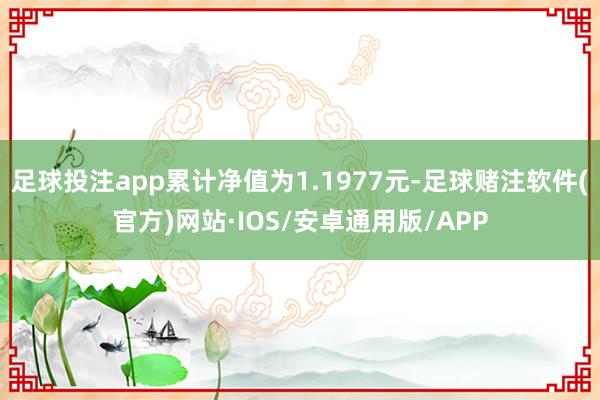 足球投注app累计净值为1.1977元-足球赌注软件(官方)网站·IOS/安卓通用版/APP