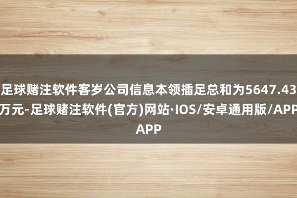 足球赌注软件客岁公司信息本领插足总和为5647.43万元-足球赌注软件(官方)网站·IOS/安卓通用版/APP