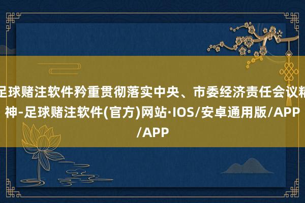 足球赌注软件矜重贯彻落实中央、市委经济责任会议精神-足球赌注软件(官方)网站·IOS/安卓通用版/APP