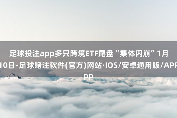 足球投注app　　多只跨境ETF尾盘“集体闪崩”　　1月10日-足球赌注软件(官方)网站·IOS/安卓通用版/APP