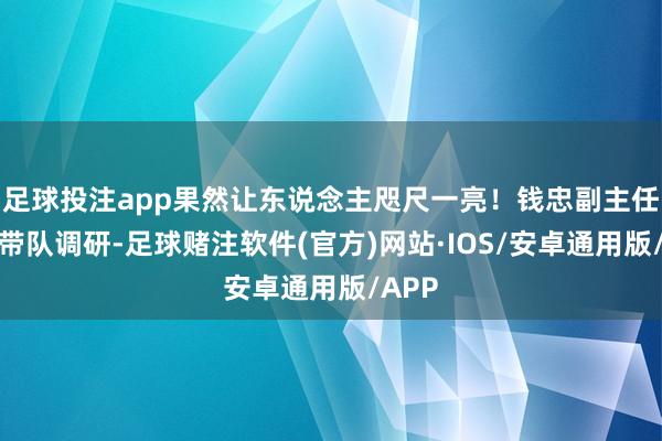 足球投注app果然让东说念主咫尺一亮！钱忠副主任亲自带队调研-足球赌注软件(官方)网站·IOS/安卓通用版/APP