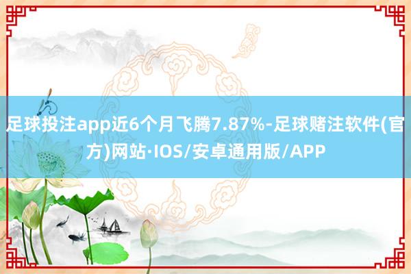 足球投注app近6个月飞腾7.87%-足球赌注软件(官方)网站·IOS/安卓通用版/APP
