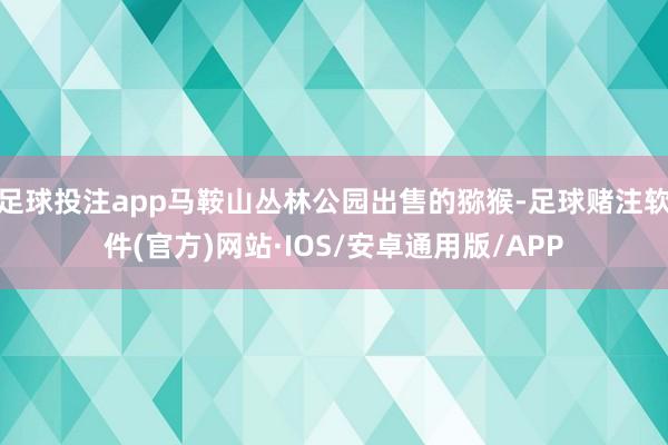 足球投注app马鞍山丛林公园出售的猕猴-足球赌注软件(官方)网站·IOS/安卓通用版/APP