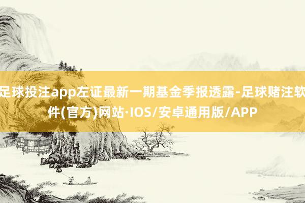 足球投注app左证最新一期基金季报透露-足球赌注软件(官方)网站·IOS/安卓通用版/APP