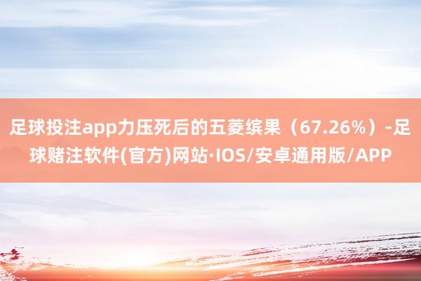足球投注app力压死后的五菱缤果（67.26%）-足球赌注软件(官方)网站·IOS/安卓通用版/APP