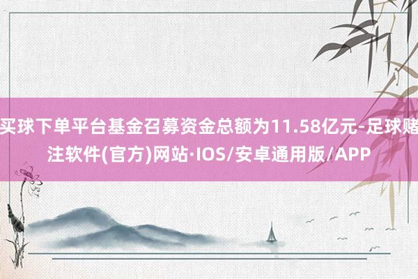 买球下单平台基金召募资金总额为11.58亿元-足球赌注软件(官方)网站·IOS/安卓通用版/APP