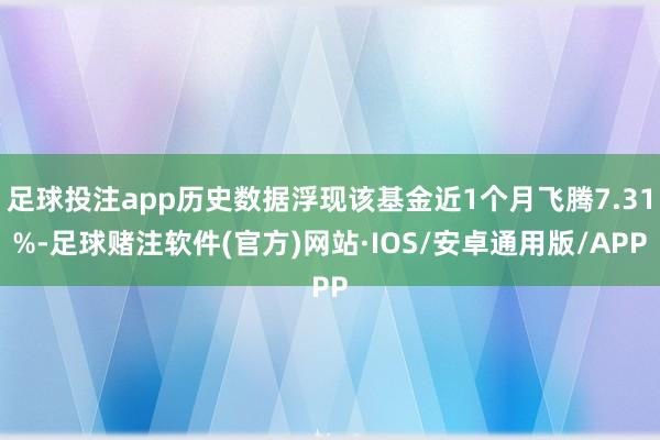 足球投注app历史数据浮现该基金近1个月飞腾7.31%-足球赌注软件(官方)网站·IOS/安卓通用版/APP