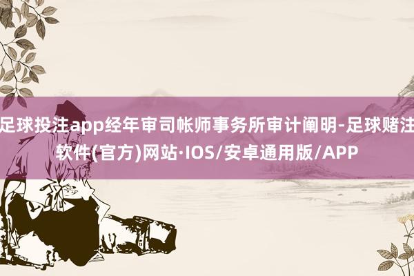 足球投注app经年审司帐师事务所审计阐明-足球赌注软件(官方)网站·IOS/安卓通用版/APP